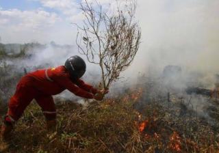 39 Titik Panas Terpantau di Riau, Kabupaten Siak Paling Banyak