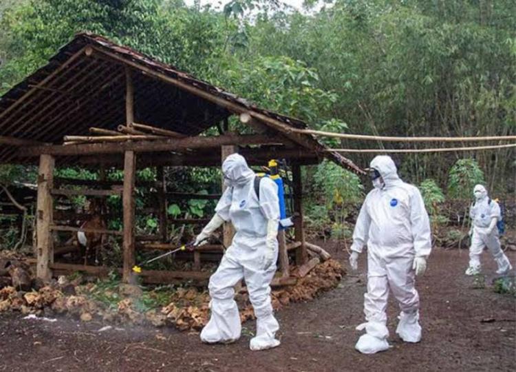 Dinas Peternakan Klaim Riau Bebas Penyakit Antraks