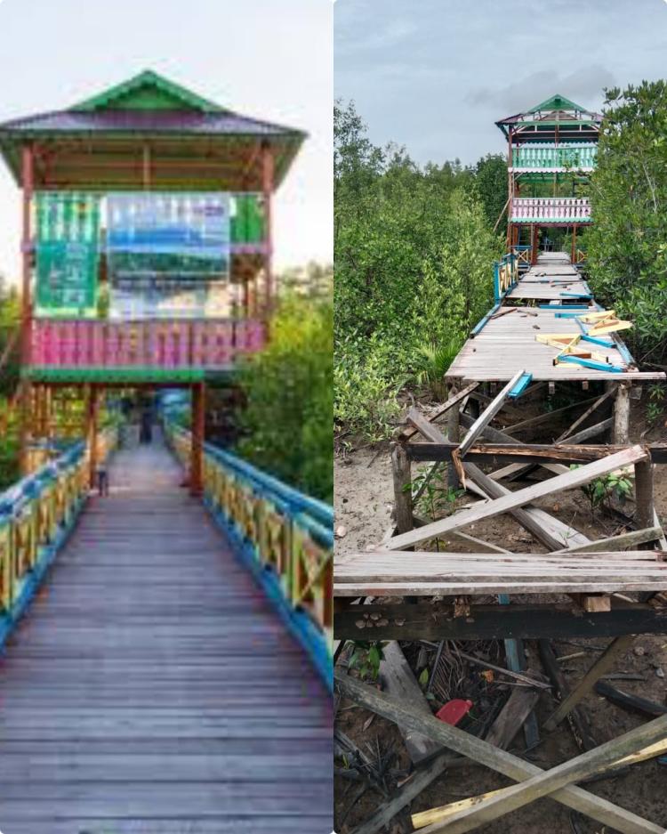 Jembatan Pelangi Mangrove Selatpanjang Memprihatinkan, Padahal Sempat Jadi Ikon Meranti dan Terima Penghargaan Nasional