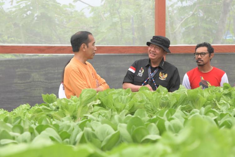 Presiden Jokowi Apresiasi Taman Inspirasi Waibu di Papua, PLN Sukses Hadirkan Listrik Andal Selama Kunjungan RI-1