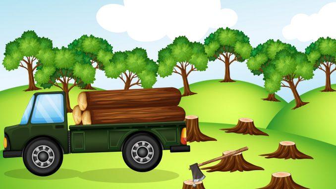 Polresta Rokan Hilir Tangkap Tersangka Perambah Kawasan Hutan