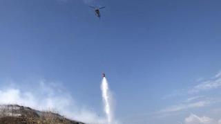 Kawasan TNTN Terbakar, Petugas Lakukan Pemadaman Lewat jalur Darat dan Udara