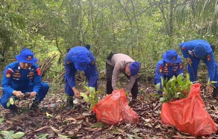 HUT ke-73, Polair Pelalawan Lakukan Penanaman Mangrove di Pesisir Pantai Teluk Meranti