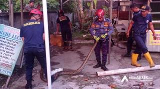 Tim Rescue Evakuasi Ular Sanca yang Bersembunyi di Pipa Saluran Air Rumah Warga Pekanbaru