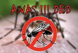 1.742 Warga Riau Terserang DBD Selama 2023, Kota Dumai Terbanyak