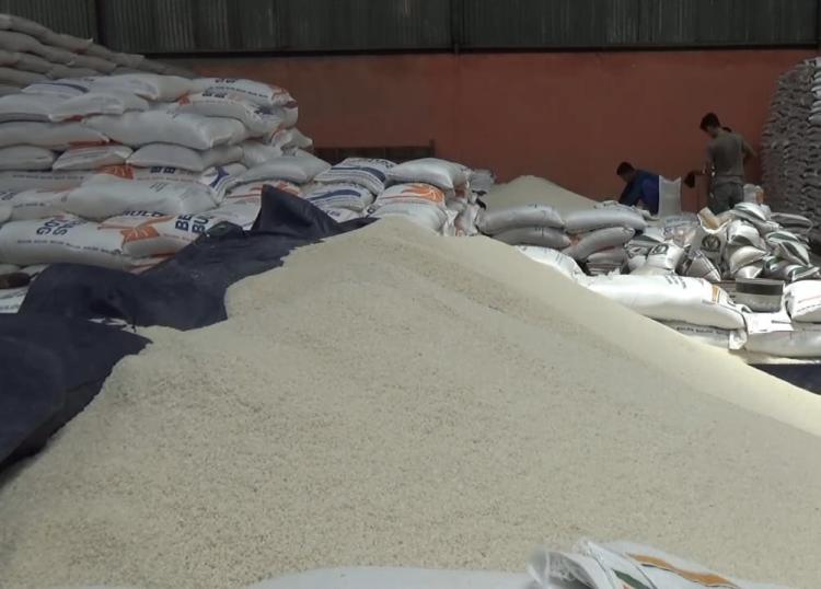 Punya 21 Ribu Ton, Bulog Riau-Kepri Pastikan Stok Beras Aman hingga Juni 2024