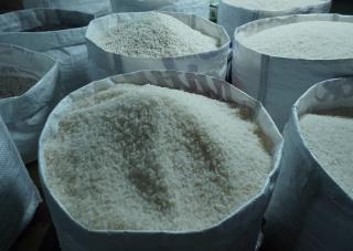 Ketersediaan Beras Premium di Pekanbaru Masih Aman di Tengah Gejolak Isi Kelangkaan