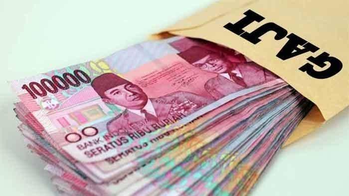 Gaji PPPK di Kepulauan Meranti Belum Dibayarkan, Kepala BPKAD Sebut Pemerintah Pusat Kurang Transfer