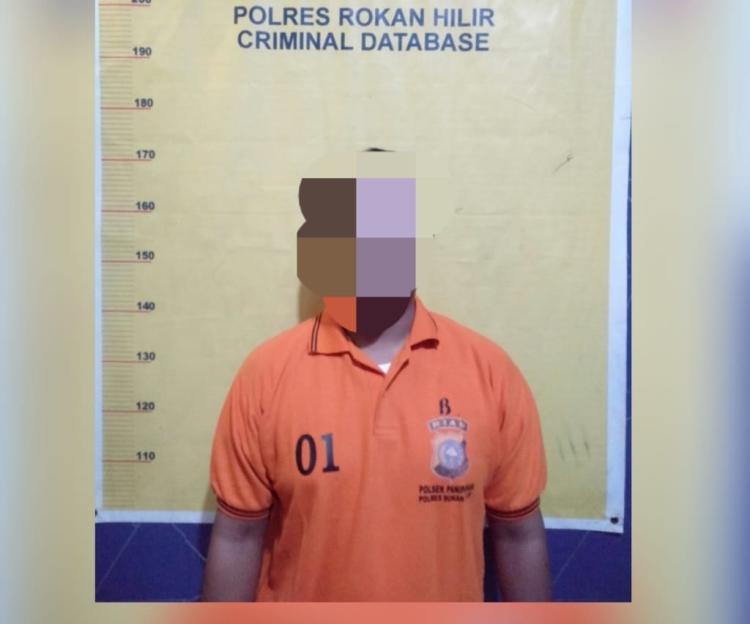 Polres Rokan Hilir Gagalkan Perdagangan Belangkas di Panipahan, Satu Orang Tersangka Diamankan