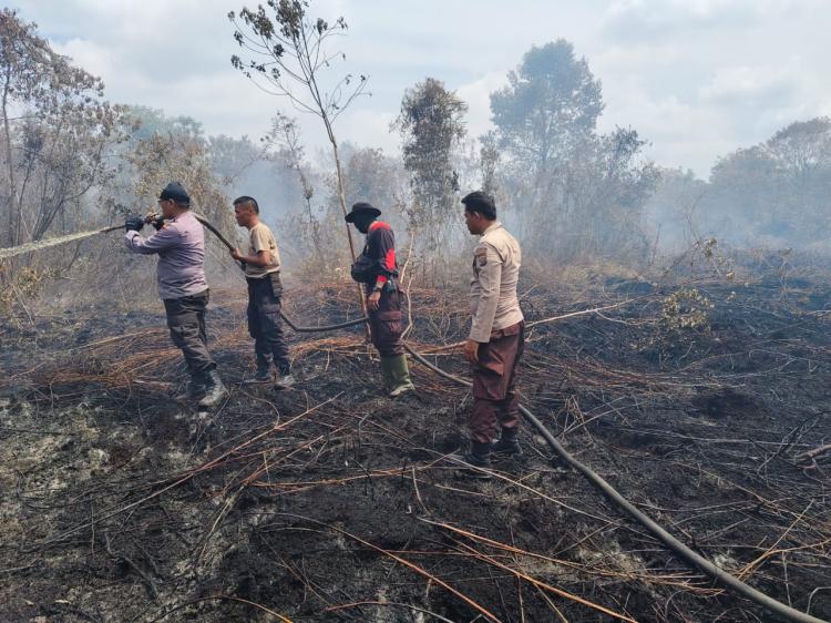 Gawat! FFMC Ungkap Wilayah Kepulauan Meranti Risiko Tinggi Karhutla