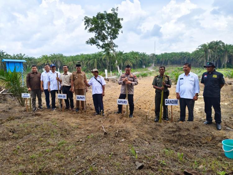 Bekerjasama dengan Apkasindo dan Asian Agri, Polres Rohil Tanam Jagung Sistem Tumpang Sari di Lahan Sawit Program PSR