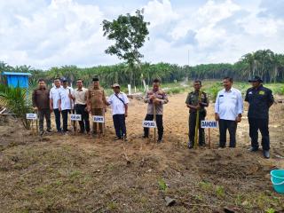 Bekerjasama dengan Apkasindo dan Asian Agri, Polres Rohil Tanam Jagung Sistem Tumpang Sari di Lahan Sawit Program PSR
