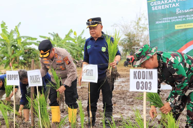Menanam Asa, Memanen Harapan: Kepulauan Meranti Ambil Bagian dalam Gerakan Nasional Swasembada Pangan