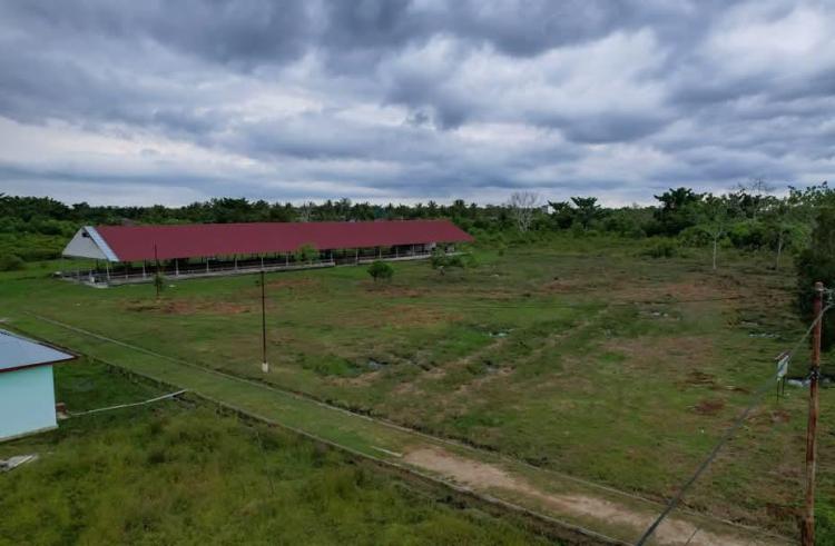 Dari Bekas Kandang Sapi Jadi Gerbang Masa Depan: Sekolah Rakyat di Kepulauan Meranti, Harapan dari Ujung Negeri