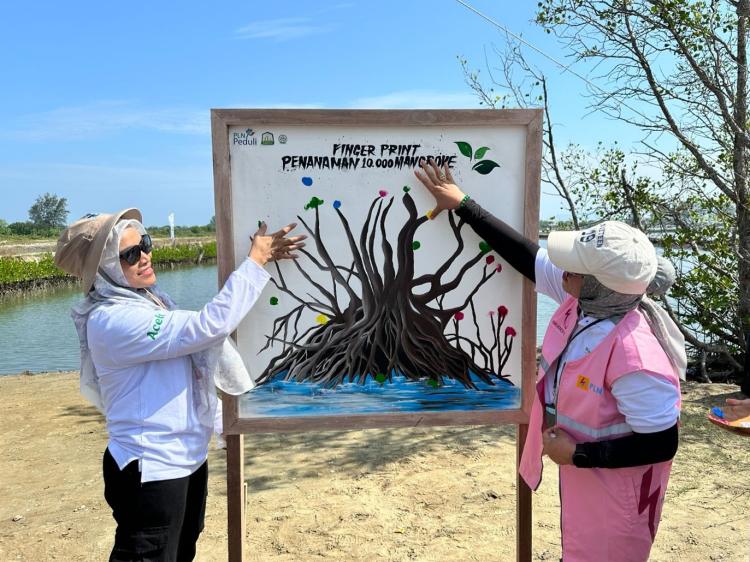 PLN Tanam 10.000 Mangrove di Aceh Besar, Warisan Hijau untuk Generasi Mendatang