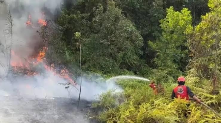 Siaga Penuh! Pekanbaru Perkuat Kolaborasi Tangani Karhutla