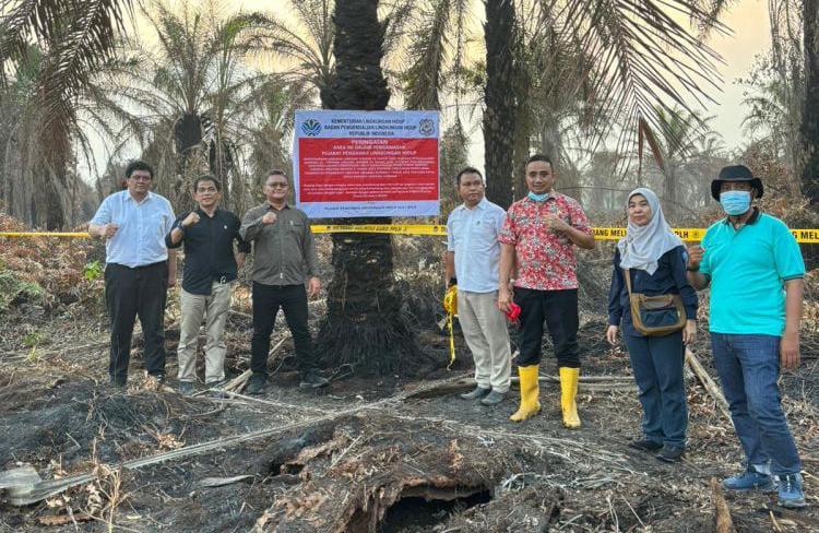 KLH Segel 4 Perusahaan dan Tutup Satu Pabrik Sawit Terkait Karhutla Riau