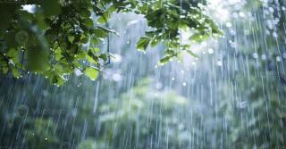 Kabar Baik dari Riau: Hujan Bawa Angin Segar, Titik Panas Karhutla Anjlok 64%