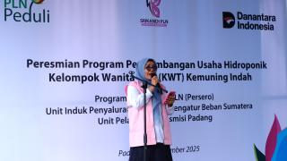 PLN UIP3B Sumatera Wujudkan Pemberdayaan Perempuan Melalui Green House Hidroponik KWT Kemuning Indah