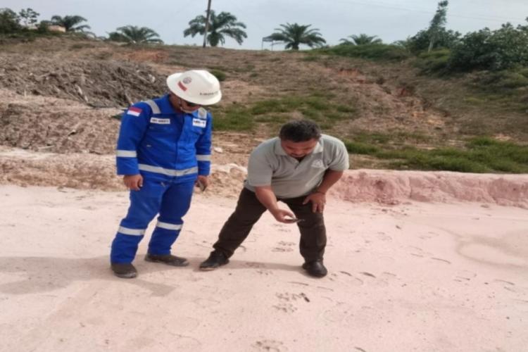 BKSDA Temukan Jejak Kaki Harimau Sumatera di Areal Kerja PT Pertamina Hulu Rokan