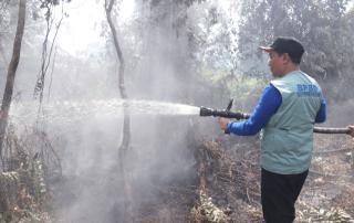 Wawako Markarius Turun Tangan Langsung Padamkan Api, di 4 Titik Lahan Kecamatan Payung Sekaki