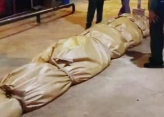 Buaya Raksasa Setengah Ton Asal Inhil Dikirim ke Jakarta, Isi Perutnya Ada Tombak dan Kaca Tabung Televisi