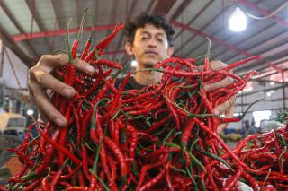 Dampak Langsung Banjir Sumbar-Sumut: Harga Cabai di Pekanbaru Rp130 Ribu per/Kg