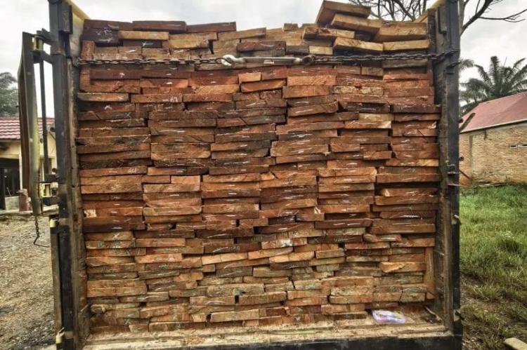 Momen Bencana Alam, Polisi Tangkap 2 Orang Pengangkut Kayu Diduga Ilegal di Rokan Hulu