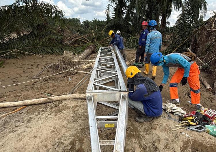 PLN Terus Kebut Siang Malam Perbaiki Jalur Listrik Langsa-Pangkalan Brandan, Penopang Pemulihan Kelistrikan Aceh