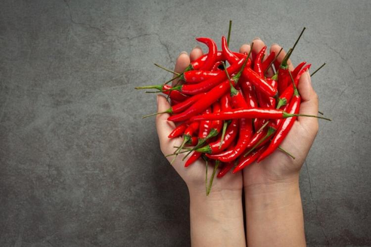 Rahasia Pemprov Riau Turunkan Harga Cabai: Jemput Bola Hingga ke Pulau Jawa