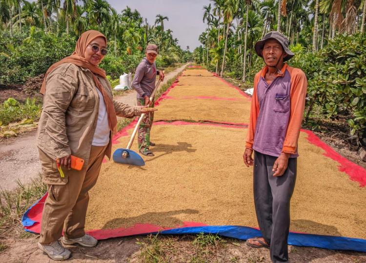 Ketika Sawah Tak Lagi Menganggur: Brigade Pangan di Kepulauan Meranti Menyemai Harapan Swasembada