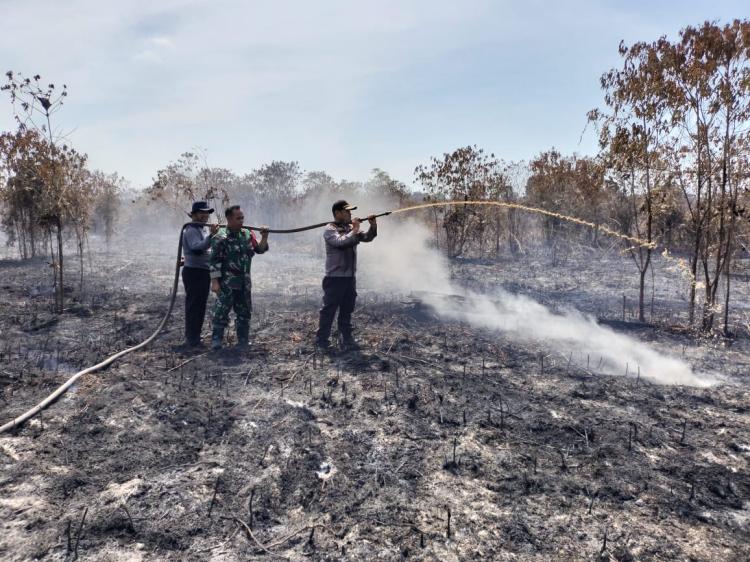 BPBD Ungkap 10 Kabupaten di Riau Terjadi Karhutla, Tapi Belum Berstatus Siaga Darurat