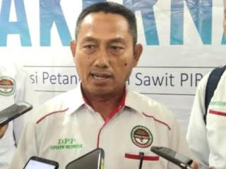 Belajar dari Sumatera Barat, Ketua Aspek-Pir Minta Usulan Pajak Air Permukaan Pohon Sawit Dikaji Ulang