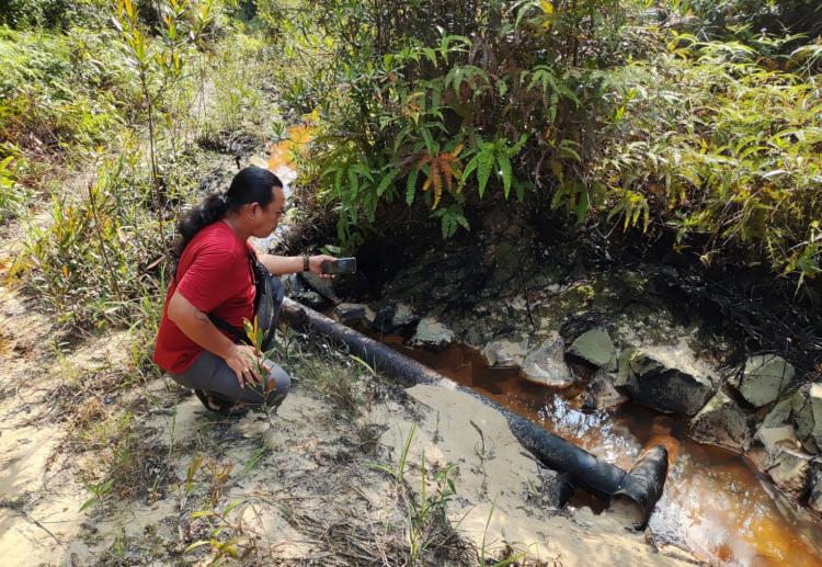 Alih Kelola Blok Rokan, Pemulihan Limbah B3 Mandek di Habitat Gajah Sumatera