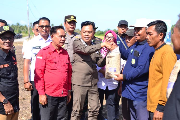 Dari Bibir Selat Malaka, Petani Kepulauan Meranti Menanam Harapan untuk Pangan Negeri: Produksi Padi Meranti Tembus 6.000 Ton