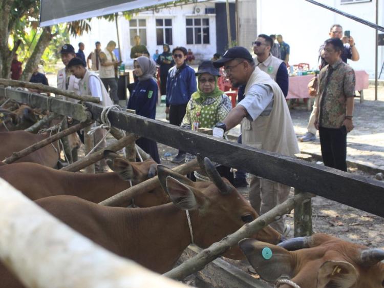 Cegah PMK, Riau Dapat Bantuan 20 Ribu Dosis Vaksin  