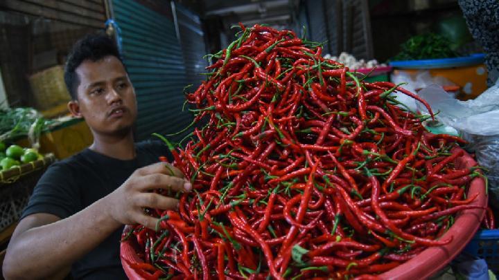 Ini Penyebab Harga Cabai Merah di Pekanbaru Tak Alami Kenaikan Jelang Ramadan