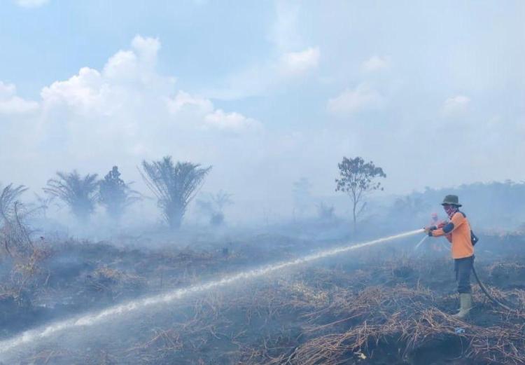 Masih 2 Bulan, Luas Lahan Terbakar di Riau Tembus 1.000 Hektare, Ini Sebarannya
