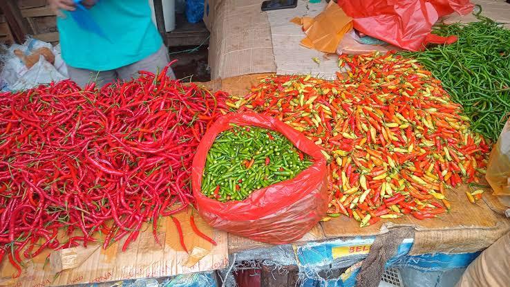 Imbas Kelangkaan BBM dan Faktor Cuaca, Harga Cabai dan Sayur di Pekanbaru Alami Kenaikan