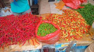 Imbas Kelangkaan BBM dan Faktor Cuaca, Harga Cabai dan Sayur di Pekanbaru Alami Kenaikan