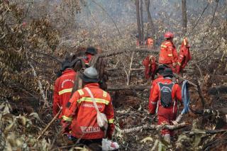 Begini Strategi Manggala Agni Menaklukkan Karhutla di Tanjung Kapal Rupat