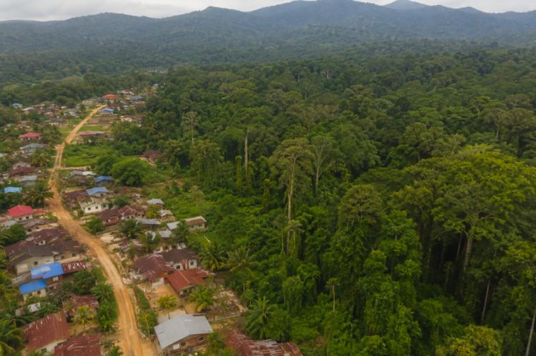 72,28 Juta Penduduk Bersinggungan dengan Kawasan Hutan, Pemerintah Didesak Segera Tuntaskan Konflik Agraria